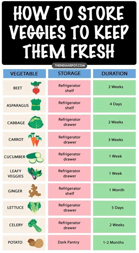 How To Store Veggies To Keep Them Fresh For Longer Best Tips In 2019
