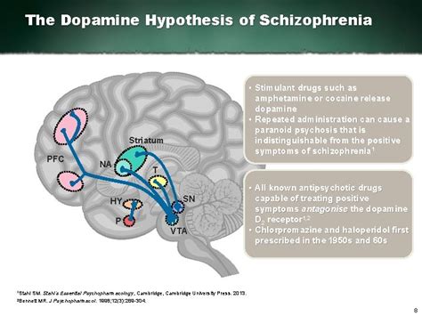 The Science Of Schizophrenia Dr Stephen M Stahl