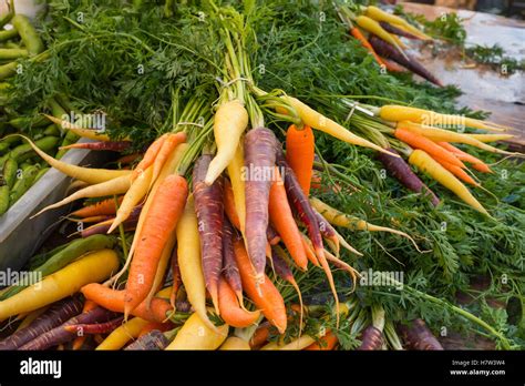 A Colorful Array Of Carrots For Sale At A Produce Stand At The St