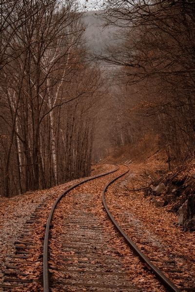 Landscape Photography Of Train Rails Between Forest Nohat Free For