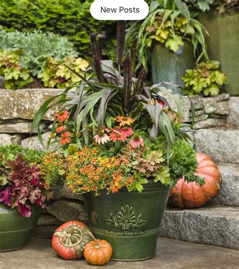 Pin By Janie Hanie On Garden Fall Container Gardens Fall Planters