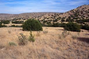 How many different types of grass is there in the world? The Two Types of Grasslands - Biome: Grasslands