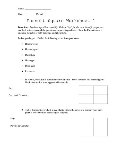 Create a simple visual representation of each of the phenotypes that correspond with the genotypes for see more of punnett square on facebook. Punnett Square Worksheet 1 Answer Key in 2020 | Practices worksheets, Persuasive writing prompts ...
