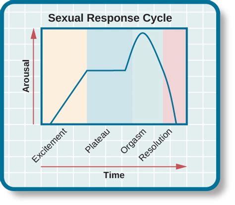 Sexual Behavior Introduction To Psychology