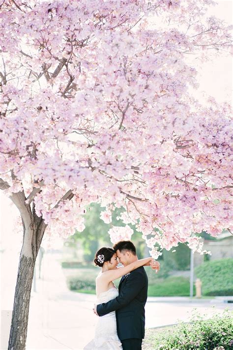 At arkansas wedding flowers we understand the importance of your special event. Cherry Blossom wedding | Wedding Photography | Pinterest