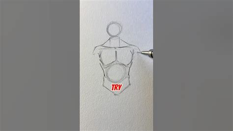 How To Draw Male Torso By Jmarron Youtube