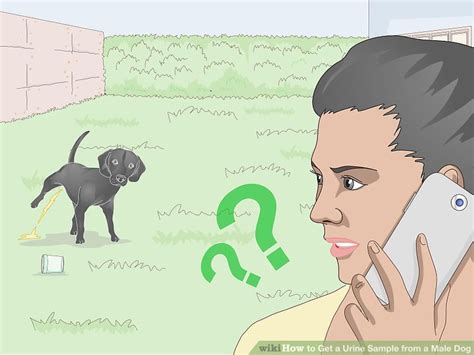 It is highly recommended that you perform a small spot test in an inconspicuous area before proceeding with the recipe below. How to Get a Urine Sample from a Male Dog: 12 Steps