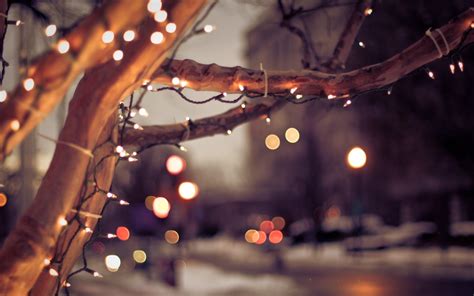 town winter tree bulbs christmas mood lights bokeh hd wallpaper