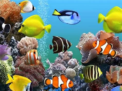 Wallpaper Aquarium Bergerak Untuk Pc Arkrejaz