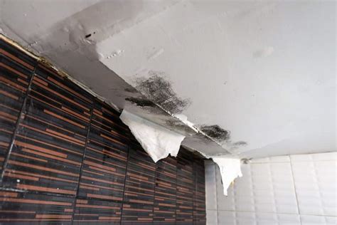 Ceiling Damage Causes Mcmahon Services And Construction