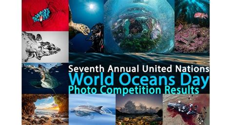 Announcing The Winners Of The Seventh United Nations World Oceans Day