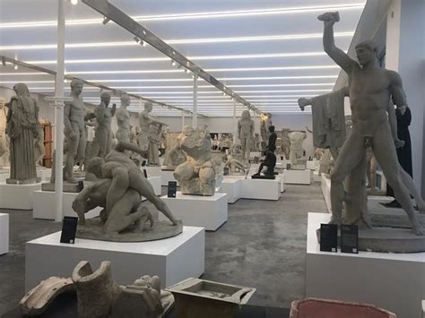 Musée Des Moulages Lyon 2021 Ce Quil Faut Savoir Pour Votre Visite Tripadvisor