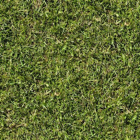 High Resolution Textures Seamless Grass Texture 2048x2048