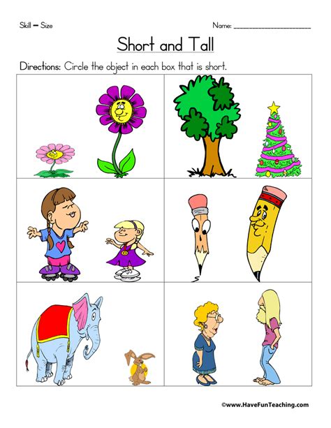Short And Tall Worksheet Have Fun Teaching