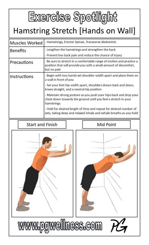 Hamstring Stretch Hands On Wall Exercise Spotlight Poster Pgwellness
