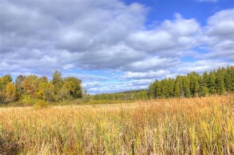 Woods And Fields At Peninsula State Park Wisconsin Image Free Stock