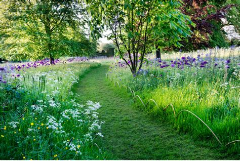 Landscape On A Budget 11 Ideas For A Summer Grass Path Gardenista