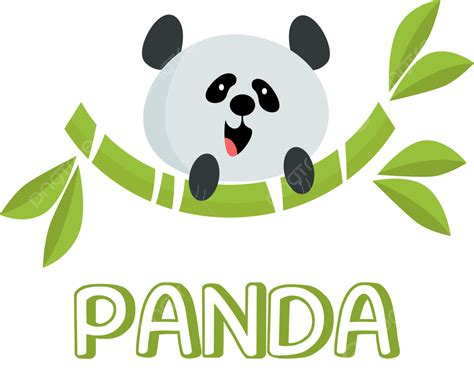 Bamboo Panda Logo Icon Animal Zoo Bamboo Panda Logo Icon Animalzoo