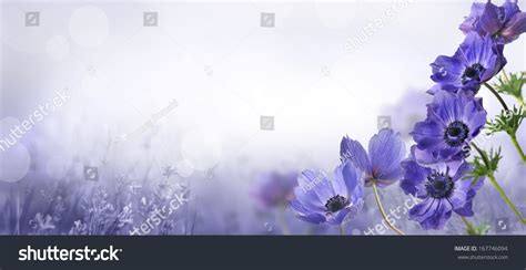 Flowers Stock Photo 167746094 Shutterstock