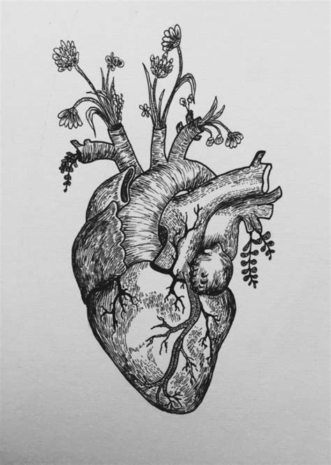 The best way to learn the landmarks is to draw from life or from photos and try to identify them. The Cryptic Chemist | Tattoos, Anatomical heart tattoo ...