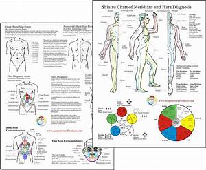 Shiatsu Chart Of Meridians Clinical Charts And Supplies