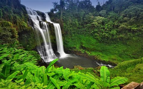 Explore our collection of wallpapers for your phones and tablets, filter them by device or by resolution and download freely everything you like! Waterfall in Cambodian Rainforest Fondo de pantalla HD ...