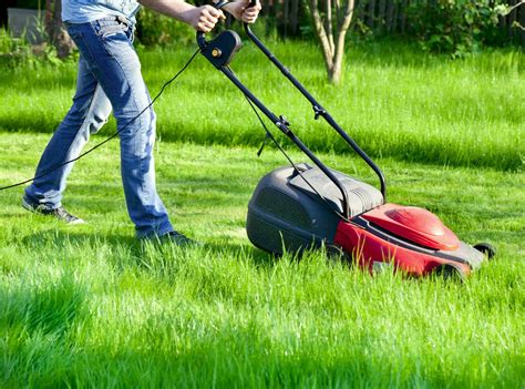 Maybe you would like to learn more about one of these? Rasenmäher: Alle Informationen zum beliebten Garten ...