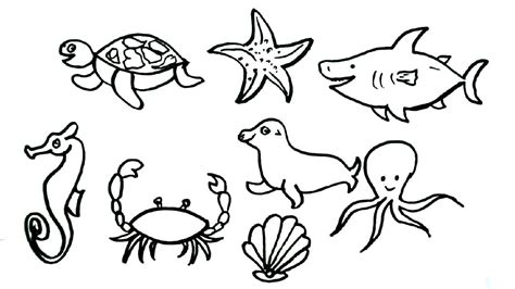 Sea Animal Drawings Easy Draw Metro