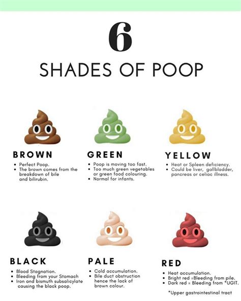 Cat Poop Color Chart Find Out What The Colors Mean 2022 15 Causes Of