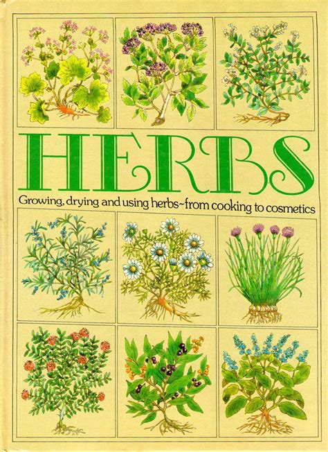 Vintage Herbs Book Illustrated Cooking Growing Medicinal Etsy 빈티지