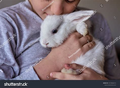 Boy White Rabbit His Hands Stock Photo 1819866614 Shutterstock