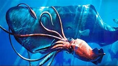 Searching For Giant Squid Documentaryhd Video Dailymotion