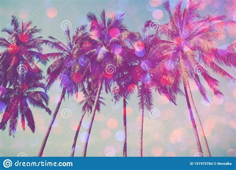 Palm Trees On Tropical Beach With Party Glamour Bokeh Overlay Stock