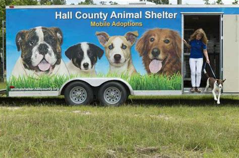 35 Animal Shelter Gainesville Tips Temal