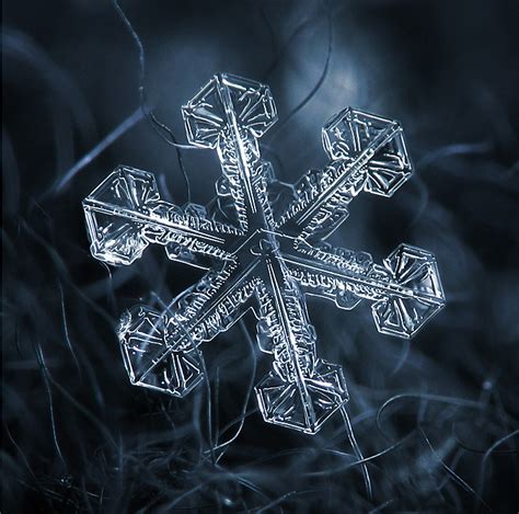 Amazing Close Up Photos Of Snowflakes Will Give You Goosebumps