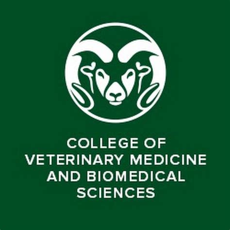 Csu College Of Veterinary Medicine And Biomedical Sciences Youtube