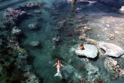 We Had Living Mermaids Who Greeted You From The Rocks Of The Submarine