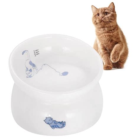 Custom Porcelain Cat Food Container 15 Degrees Tilted Elevated Food
