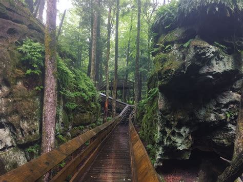 The Beartown Boardwalk Hike In West Virginia Leads To Incredibly Scenic