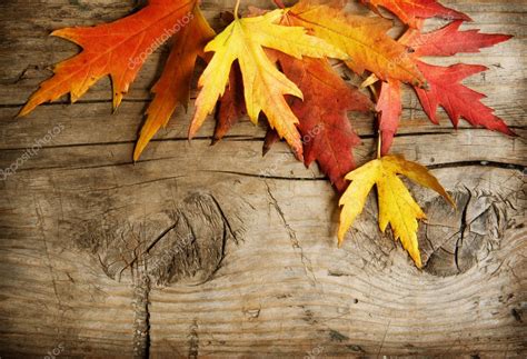 Autumn Leaves Over Wooden Background With Copy Space Stock Photo By
