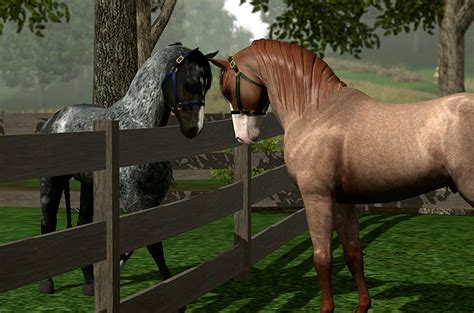 We did not find results for: Lakeside Ranch - Blog