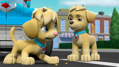 Watch Paw Patrol Season 6 Episode 10 Paw Patrol Mighty Pups Super Paws Pups Save A Giant