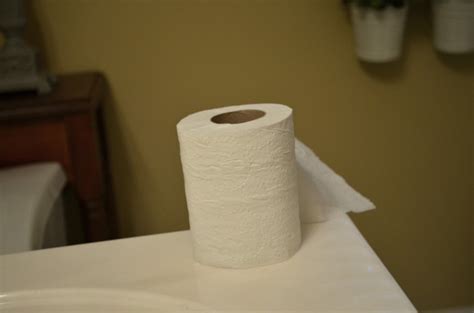 We did not find results for: 31 Days Toilet Paper - At Home with The Barkers