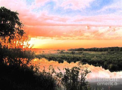 Marsh Sunset Photograph By Ron Tackett Pixels