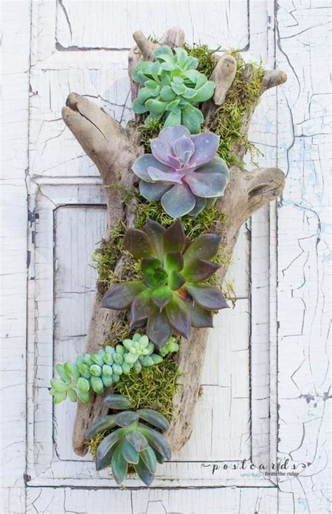 38 Indoor Succulent Display Ideas To Beautify Your Home Obsigen