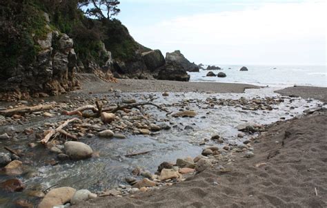 See who is a fan of stillwater cove. Stillwater Cove Regional Park, Jenner, CA - California Beaches