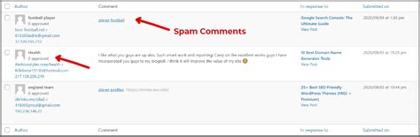 How To Stop Spam Comments In Wordpress Without Plugin Thebloggingtime