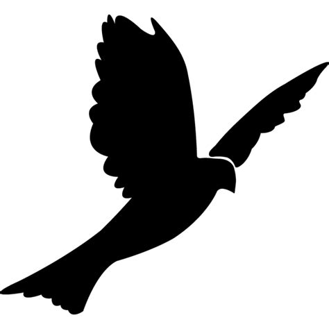 Columbidae Bird Rock Dove Silhouette Clip Art Bird Png Download 800