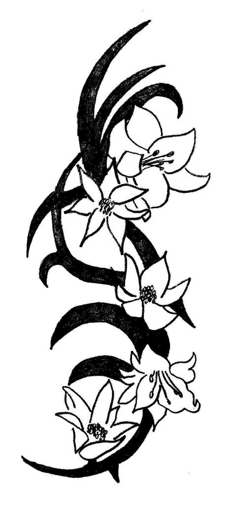 Drawing a cool lily tattoo design in a tribal style. Lily Tribal Tattoos - ClipArt Best