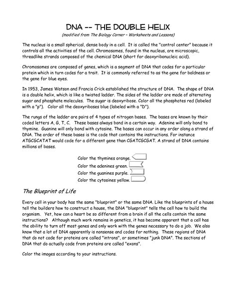 Use the following image to answer question 5. 18 Best Images of DNA And Genes Worksheet - Chapter 11 DNA and Genes Worksheet Answers, Virtual ...